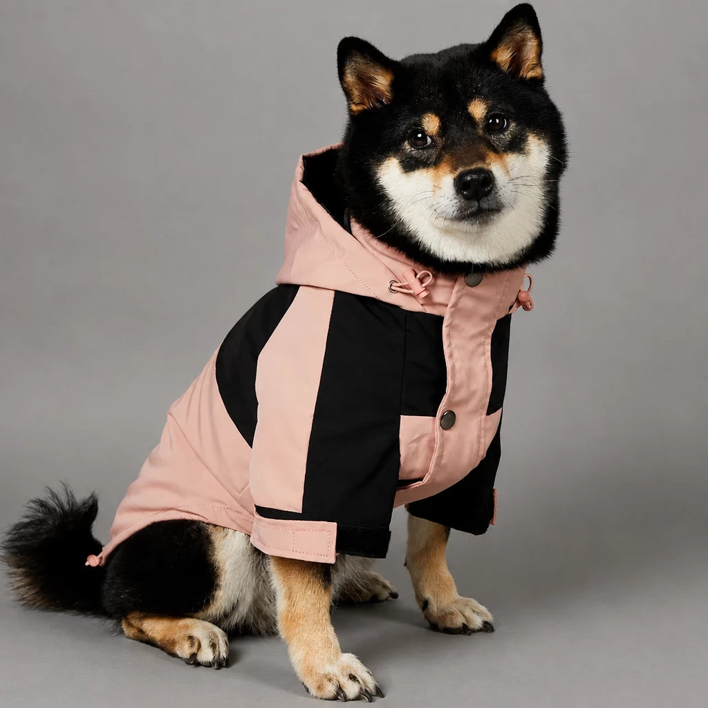Dog Rain Jacket – Wind- and Water-Resistant Outdoor Coat