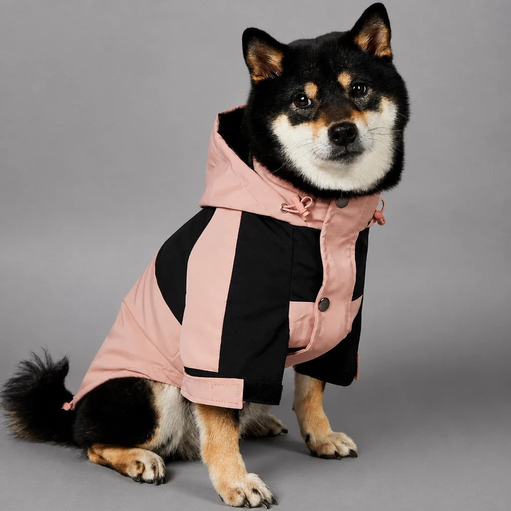 Dog Rain Jacket – Wind- and Water-Resistant Outdoor Coat