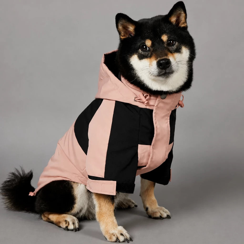 Dog Rain Jacket – Wind- and Water-Resistant Outdoor Coat