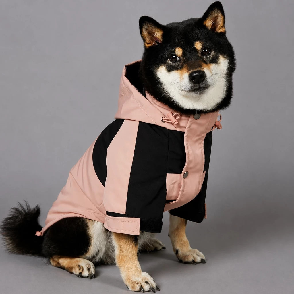 Dog Rain Jacket – Wind- and Water-Resistant Outdoor Coat
