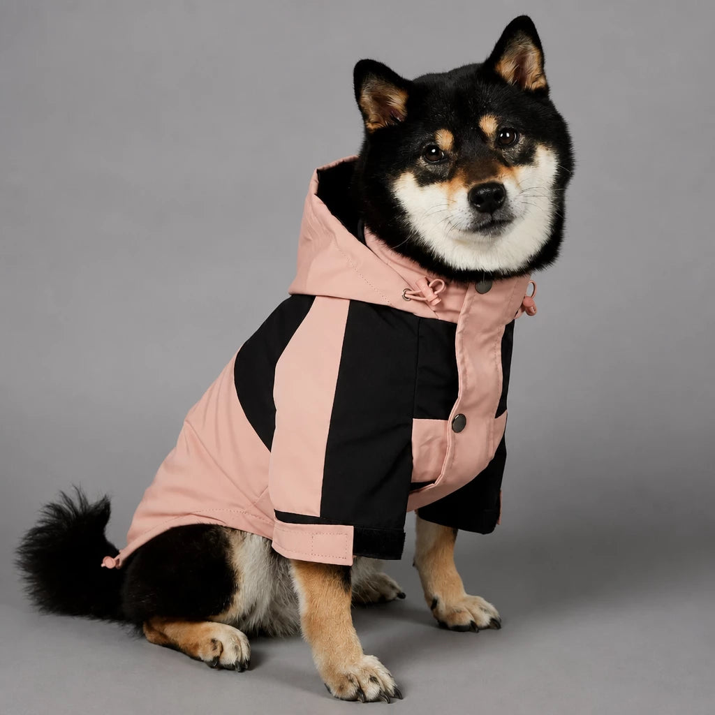 Dog Rain Jacket – Wind- and Water-Resistant Outdoor Coat