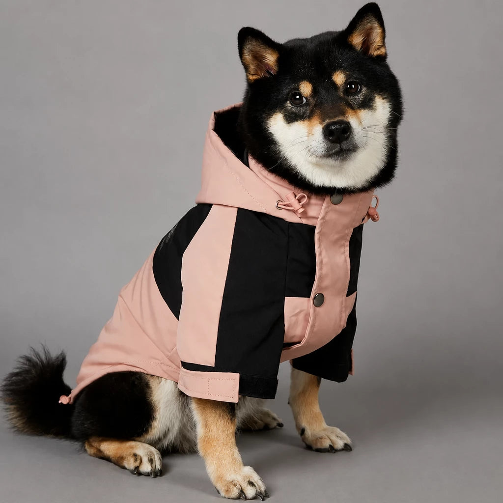 Dog Rain Jacket – Wind- and Water-Resistant Outdoor Coat