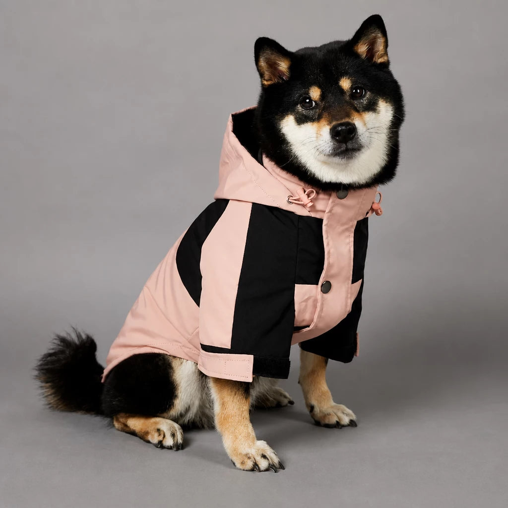 Dog Rain Jacket – Wind- and Water-Resistant Outdoor Coat