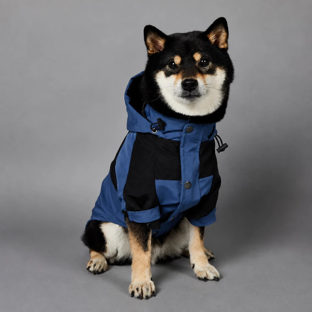 Dog Rain Jacket – Wind- and Water-Resistant Outdoor Coat