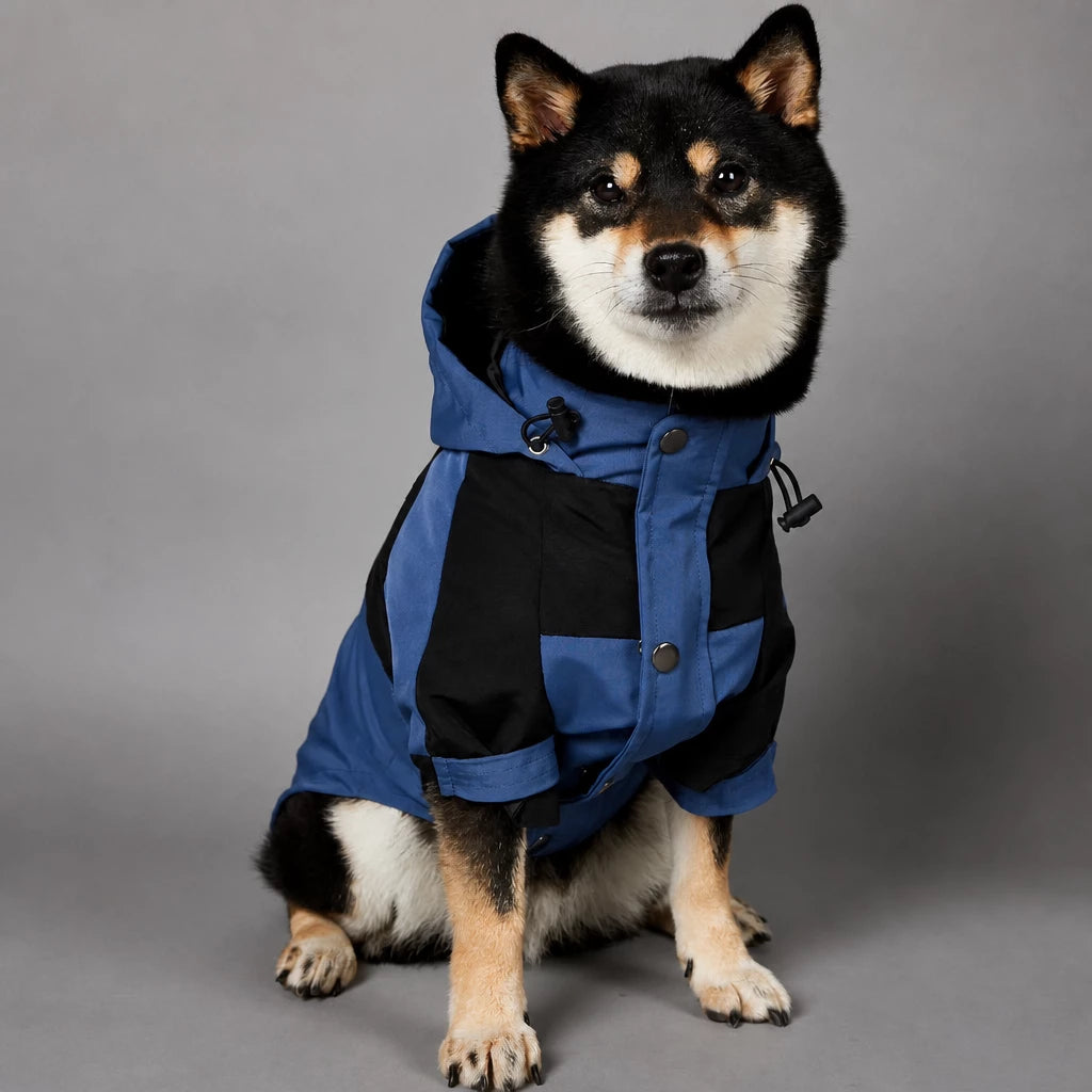 Dog Rain Jacket – Wind- and Water-Resistant Outdoor Coat