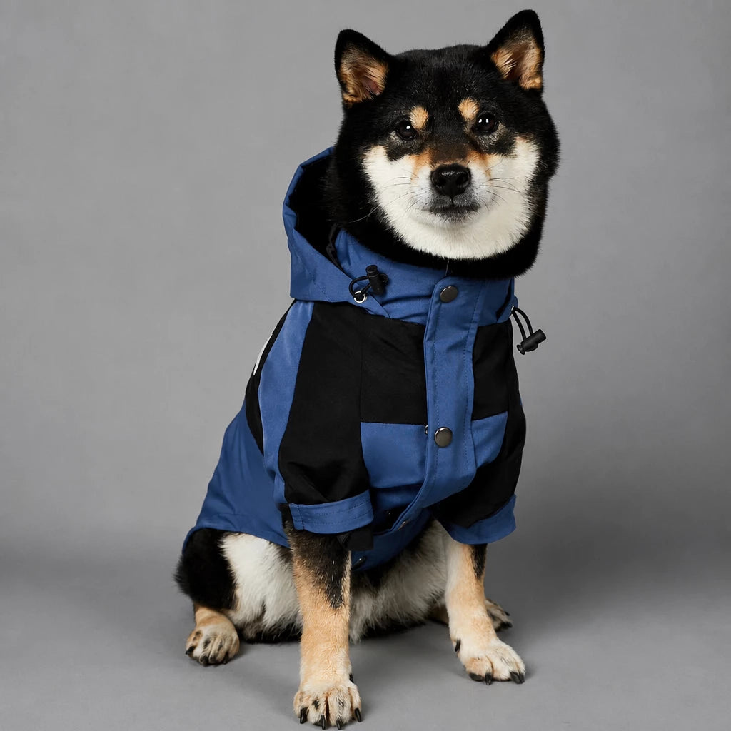 Dog Rain Jacket – Wind- and Water-Resistant Outdoor Coat