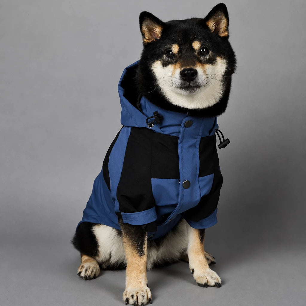 Dog Rain Jacket – Wind- and Water-Resistant Outdoor Coat