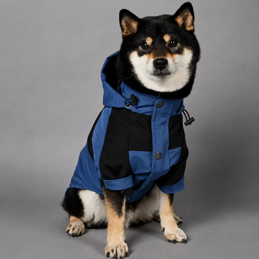 Dog Rain Jacket – Wind- and Water-Resistant Outdoor Coat