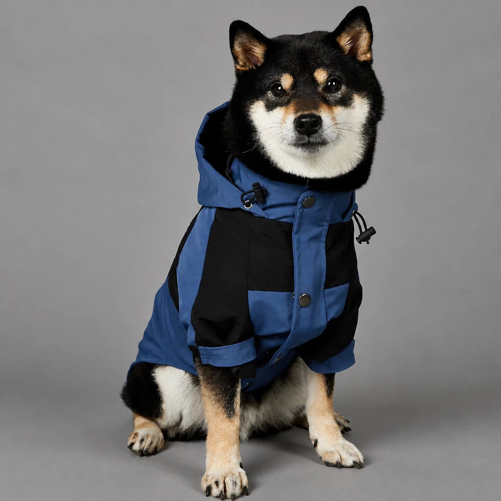 Dog Rain Jacket – Wind- and Water-Resistant Outdoor Coat