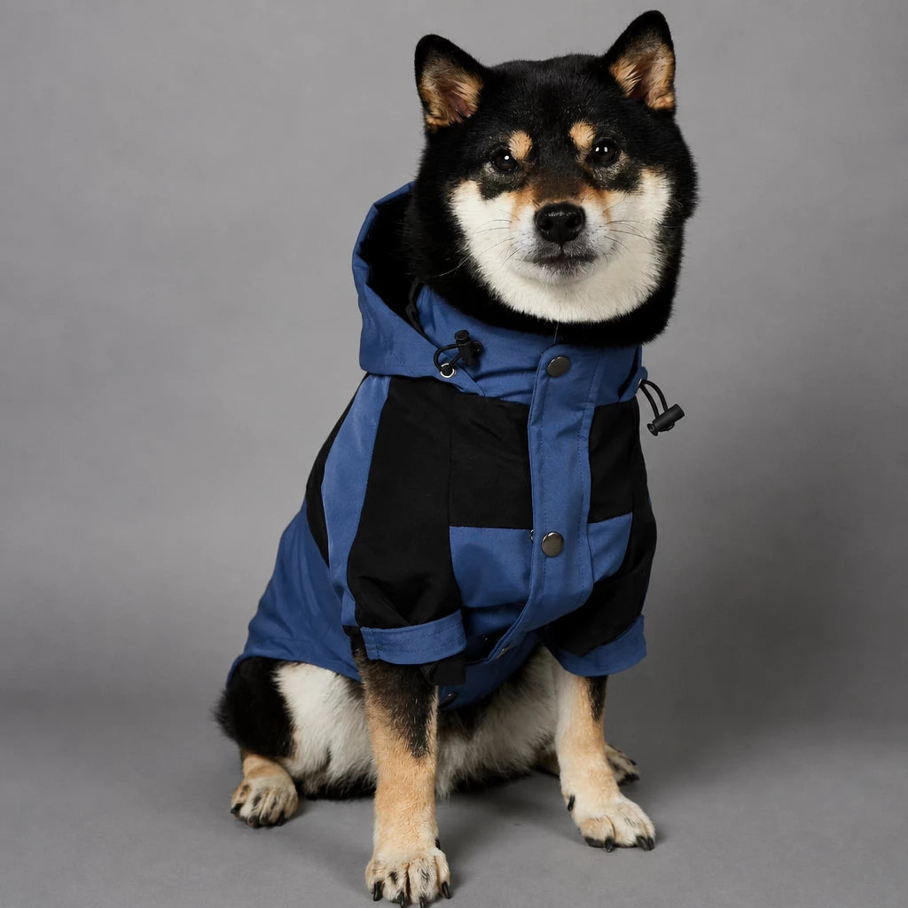 Dog Rain Jacket – Wind- and Water-Resistant Outdoor Coat