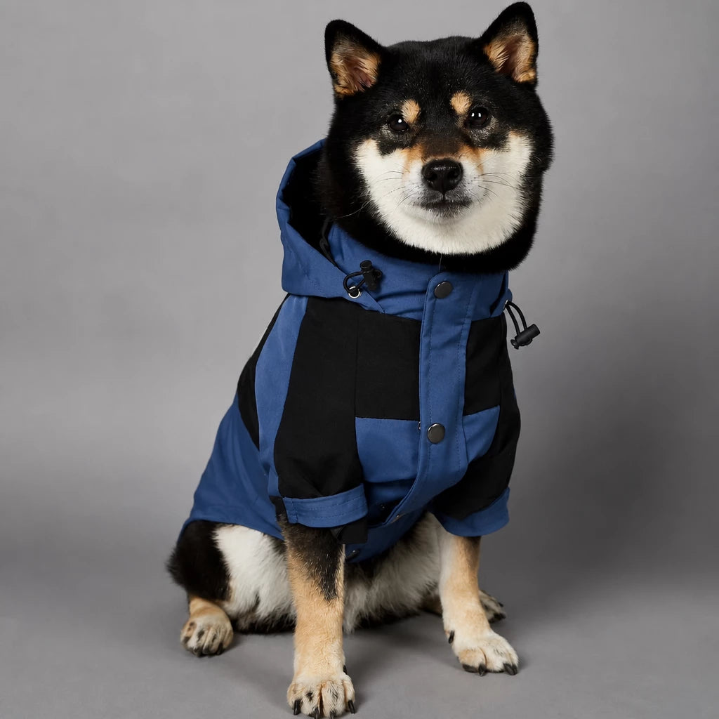 Dog Rain Jacket – Wind- and Water-Resistant Outdoor Coat