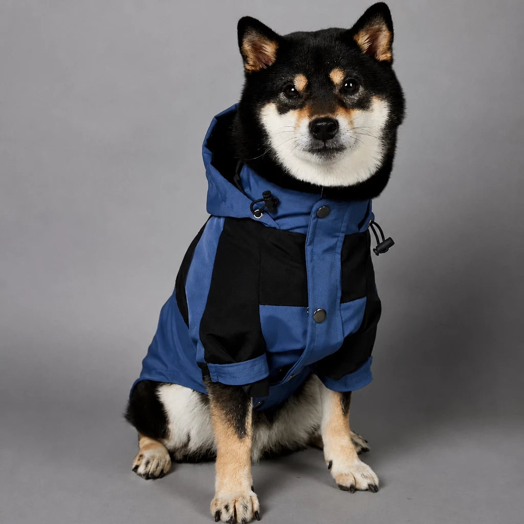 Dog Rain Jacket – Wind- and Water-Resistant Outdoor Coat