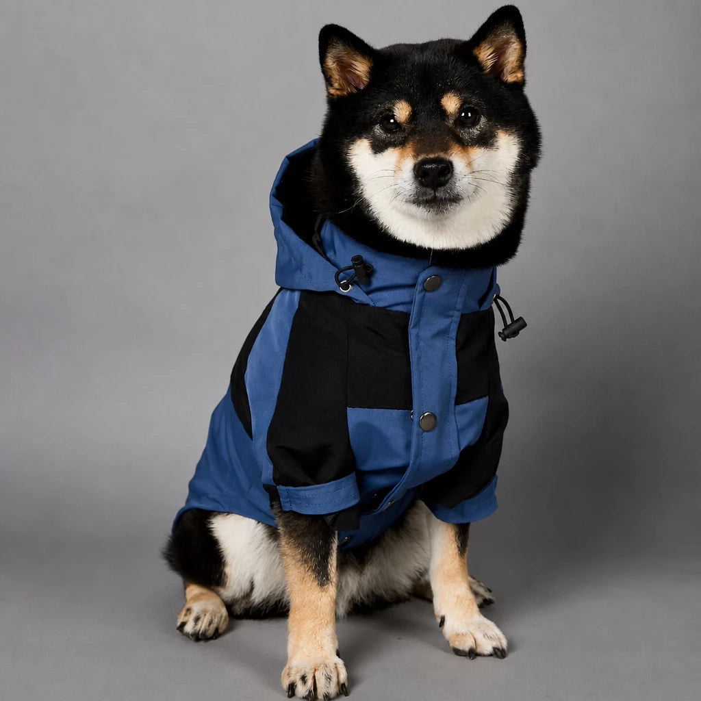 Dog Rain Jacket – Wind- and Water-Resistant Outdoor Coat