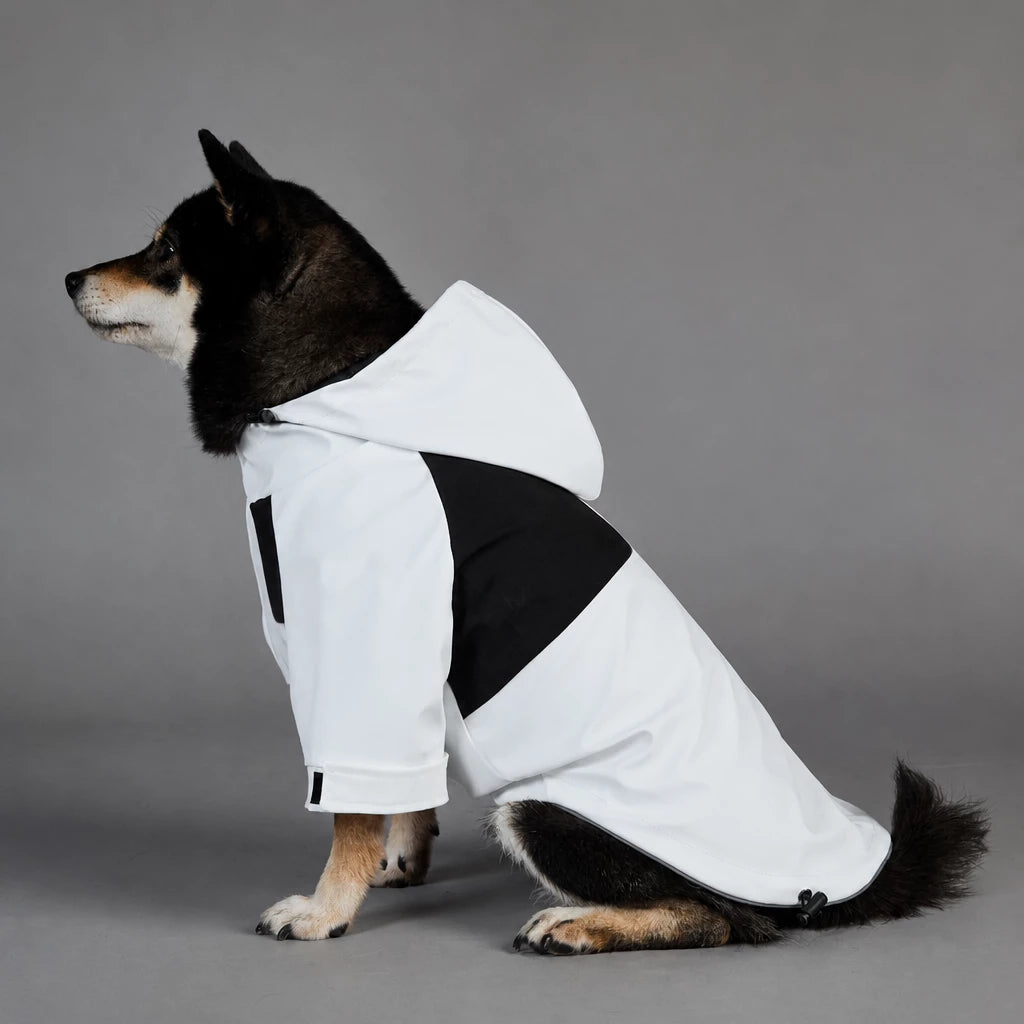 Dog Rain Jacket – Wind- and Water-Resistant Outdoor Coat