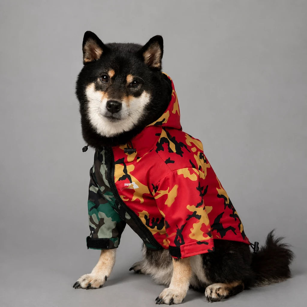 Dog Rain Jacket – Wind- and Water-Resistant Outdoor Coat