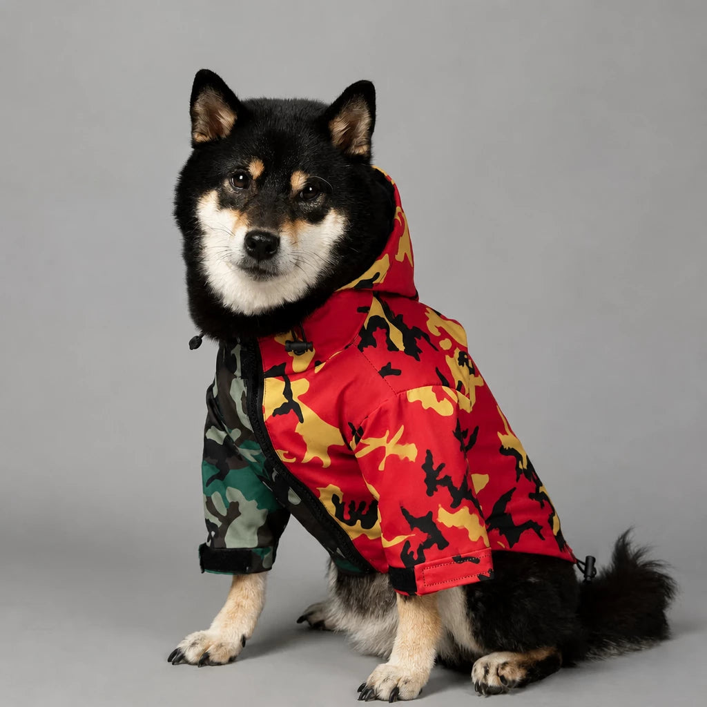 Dog Rain Jacket – Wind- and Water-Resistant Outdoor Coat