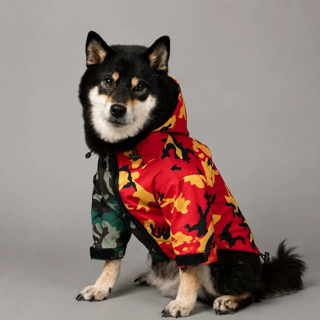 Dog Rain Jacket – Wind- and Water-Resistant Outdoor Coat