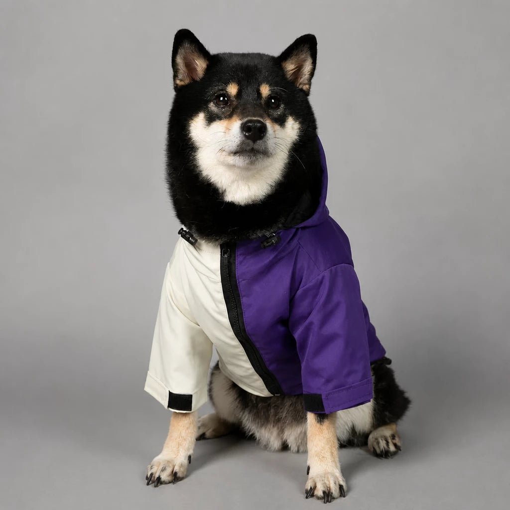 Dog Rain Jacket – Wind- and Water-Resistant Outdoor Coat