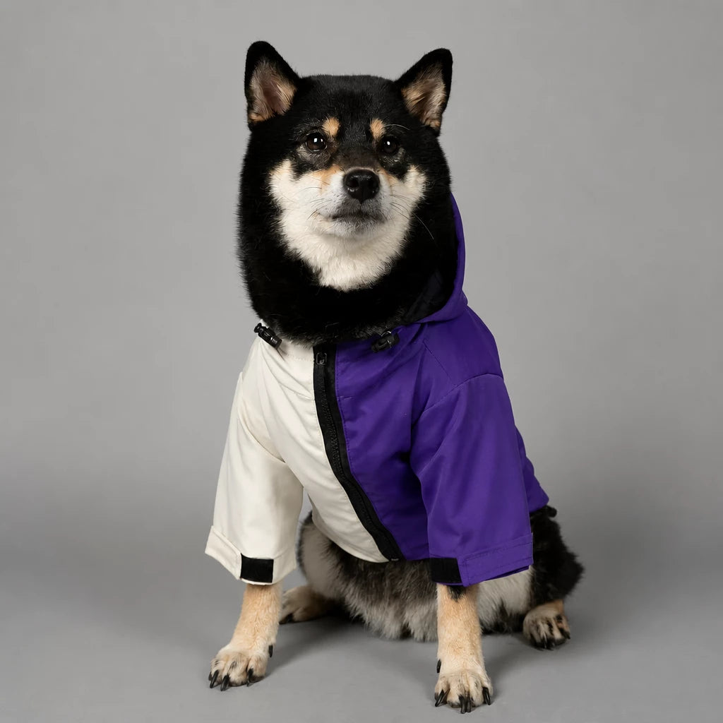 Dog Rain Jacket – Wind- and Water-Resistant Outdoor Coat