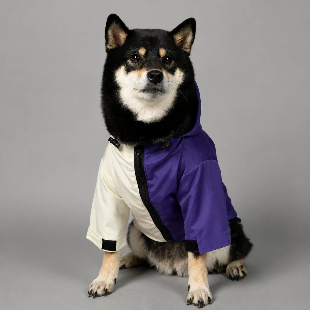 Dog Rain Jacket – Wind- and Water-Resistant Outdoor Coat