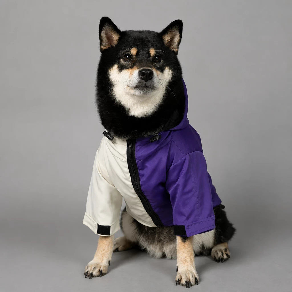 Dog Rain Jacket – Wind- and Water-Resistant Outdoor Coat