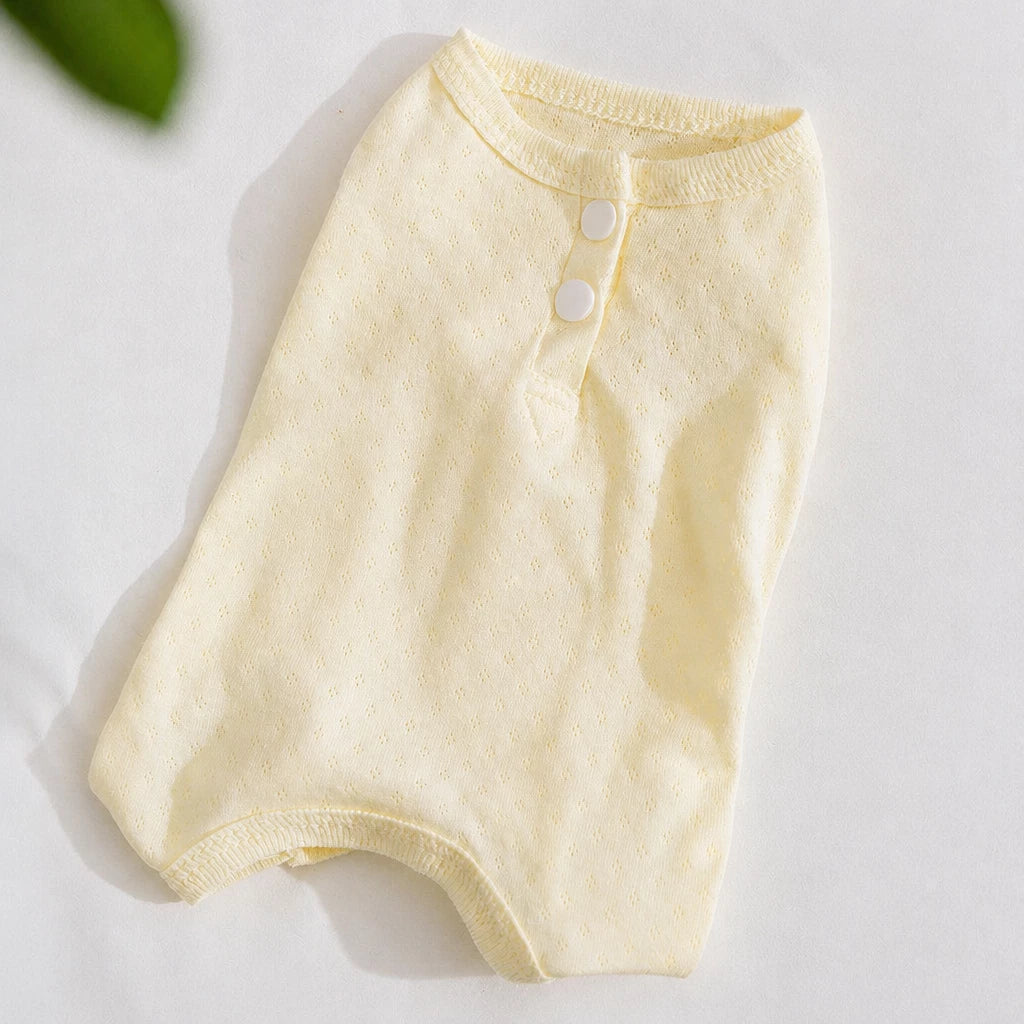 Teddy Bear Four-Leg Pet Outfit for Small Dogs & Cats