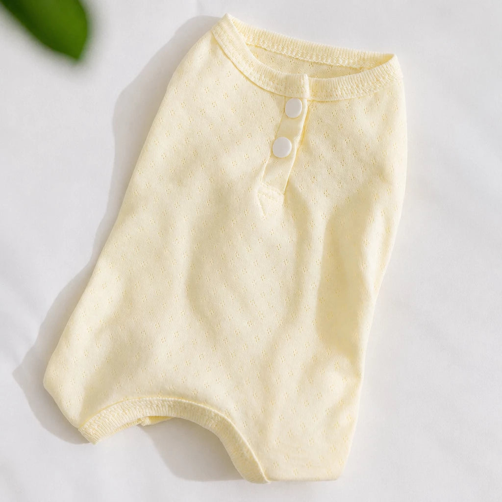 Teddy Bear Four-Leg Pet Outfit for Small Dogs & Cats