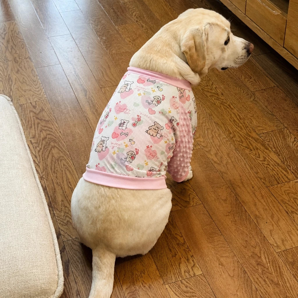 Lightweight Dog Jacket with Elbow and Knee Sleeves for Large Dogs