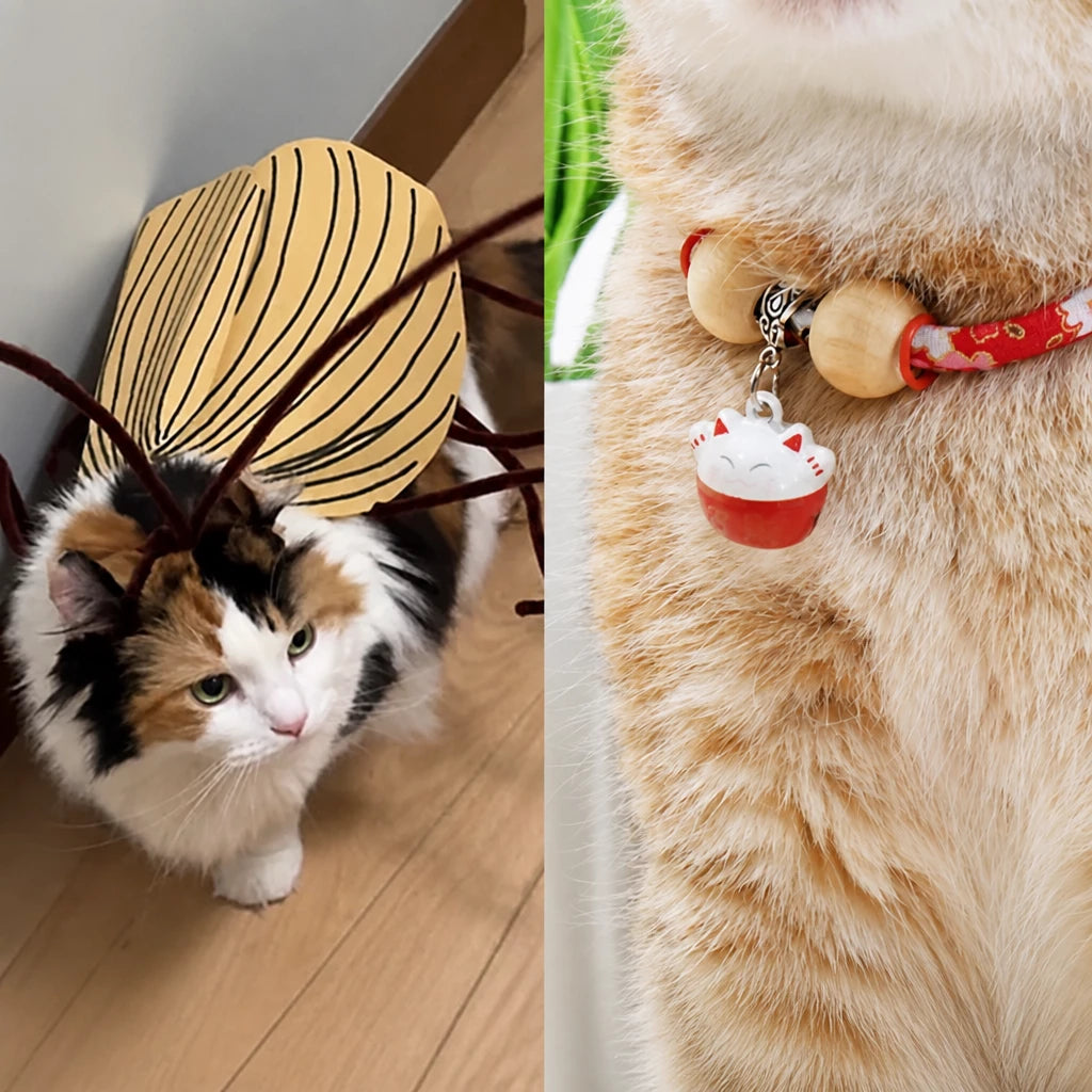 Cockroach-Inspired Cat Costume with Matching Collar