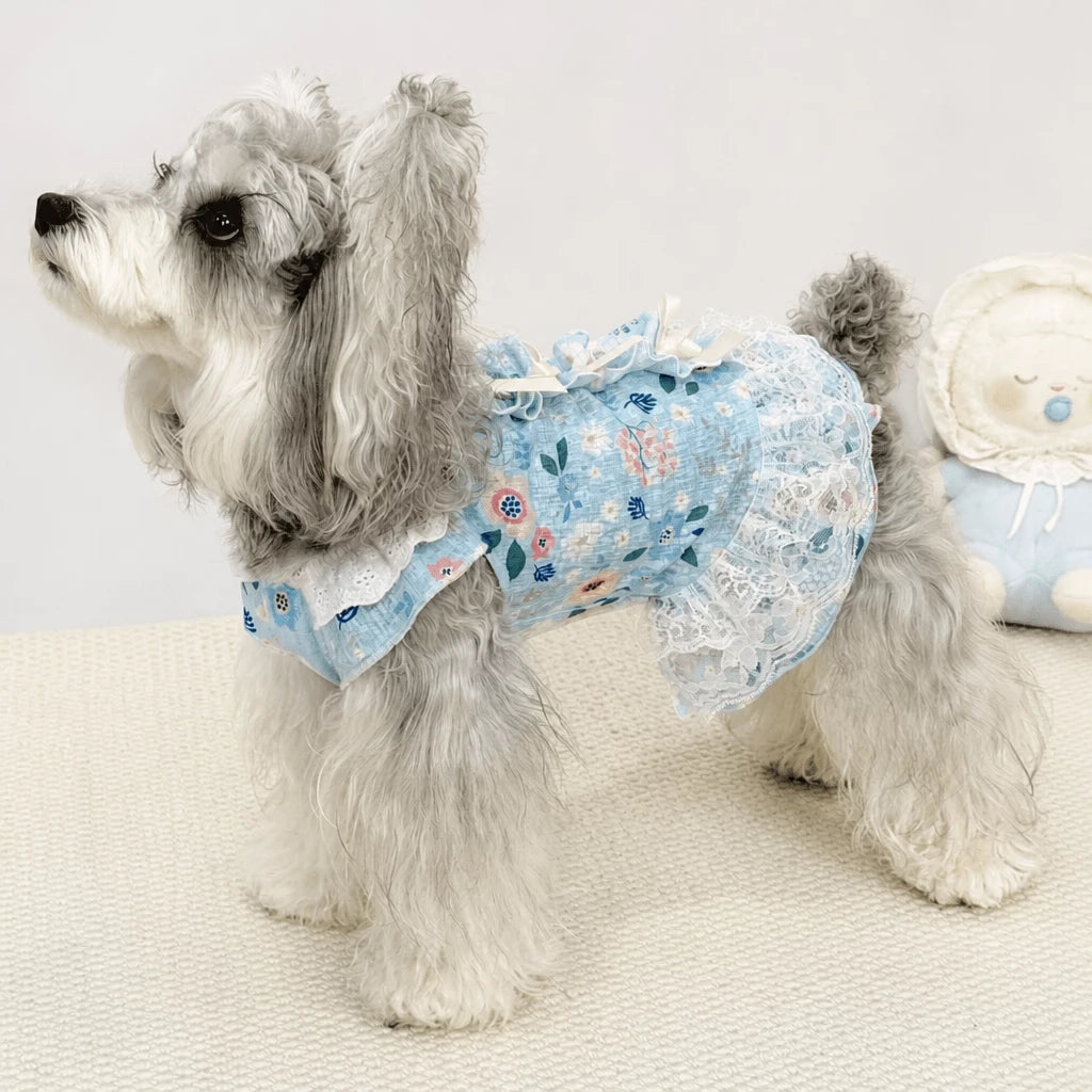 Lightweight Lace Pet Clothing with Bow and Ruffle Trim