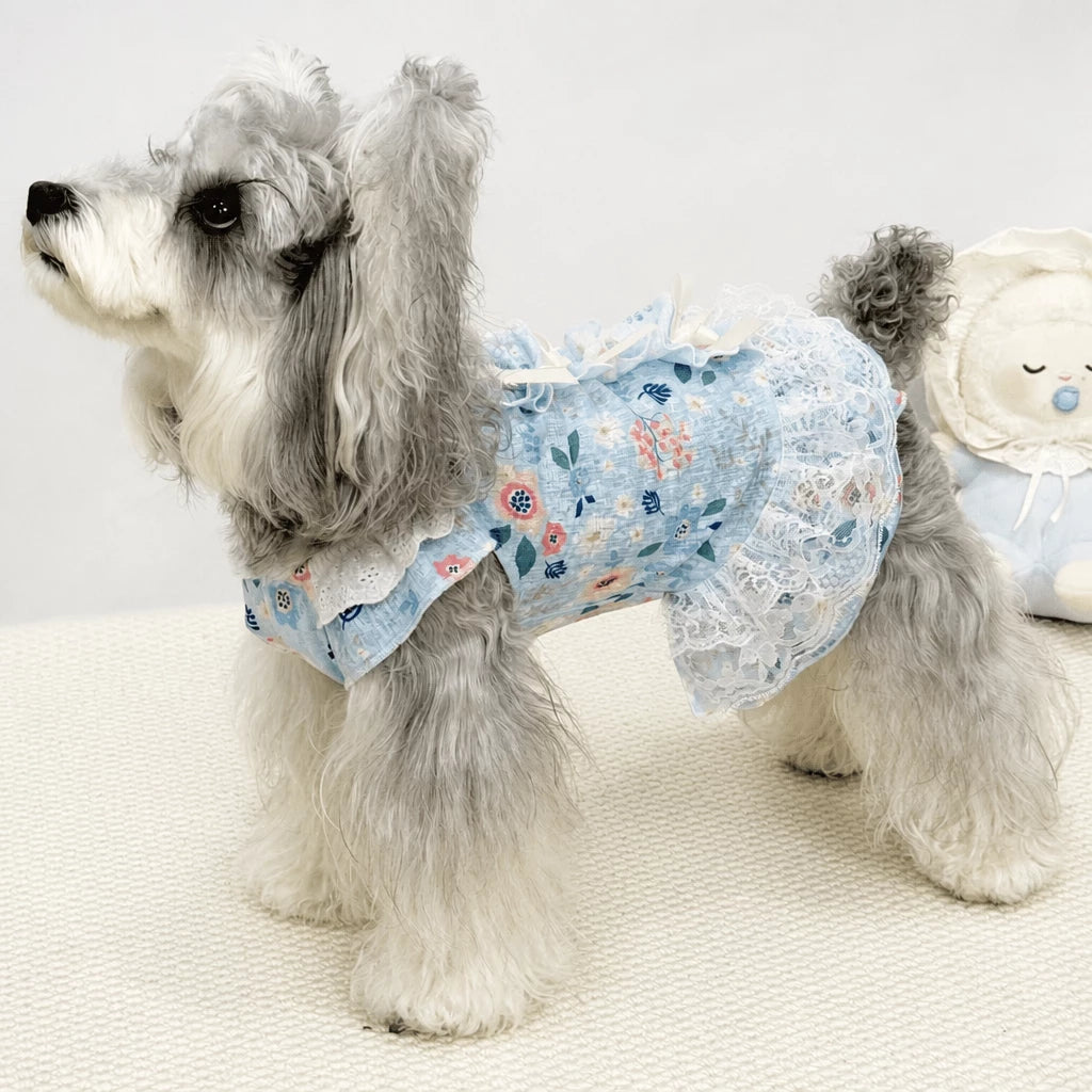 Lightweight Lace Pet Clothing with Bow and Ruffle Trim