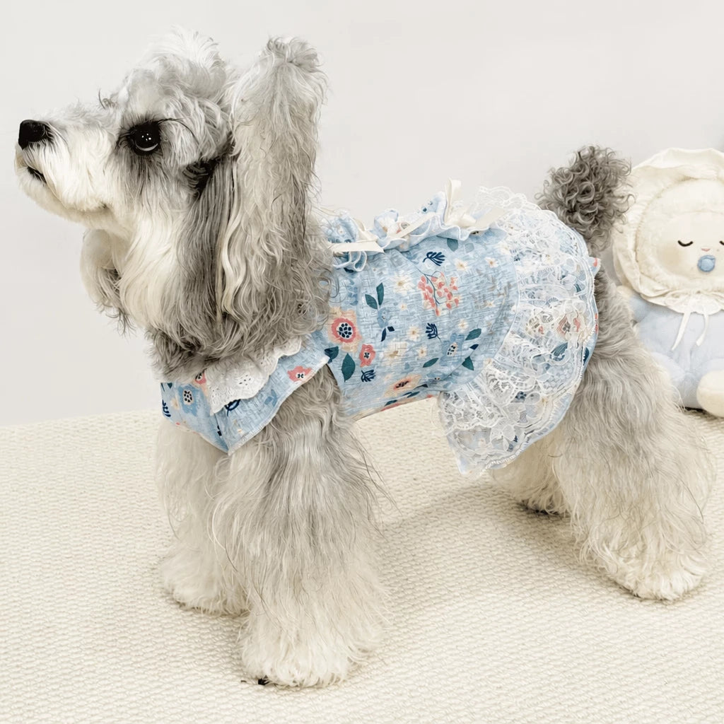 Lightweight Lace Pet Clothing with Bow and Ruffle Trim