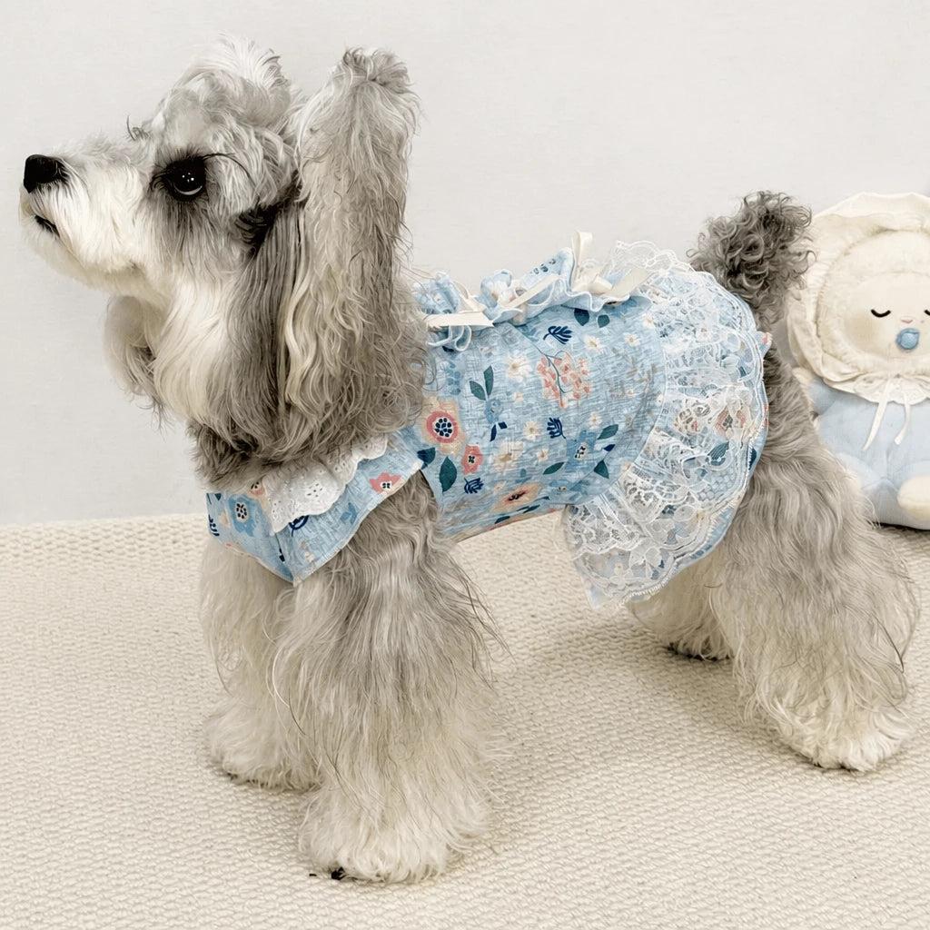 Lightweight Lace Pet Clothing with Bow and Ruffle Trim