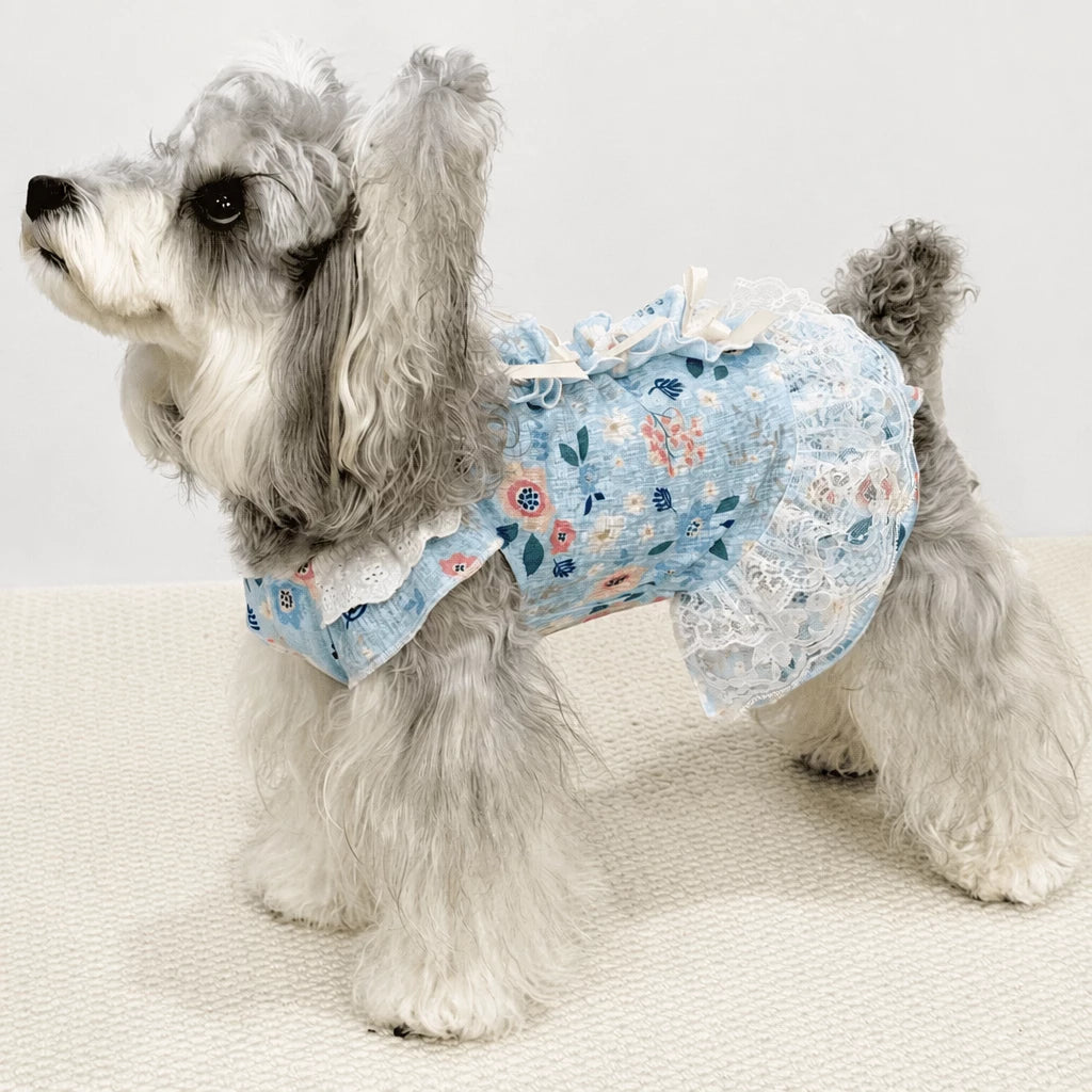Lightweight Lace Pet Clothing with Bow and Ruffle Trim