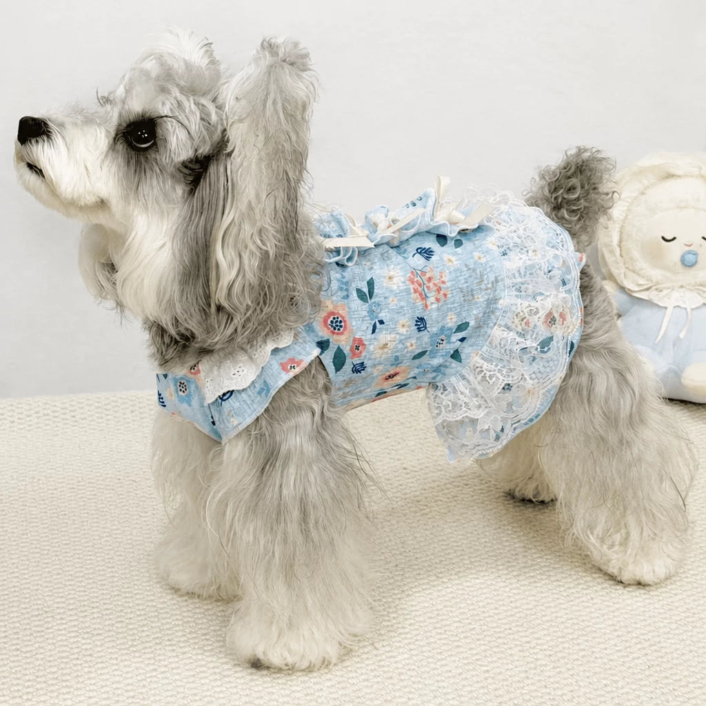 Lightweight Lace Pet Clothing with Bow and Ruffle Trim