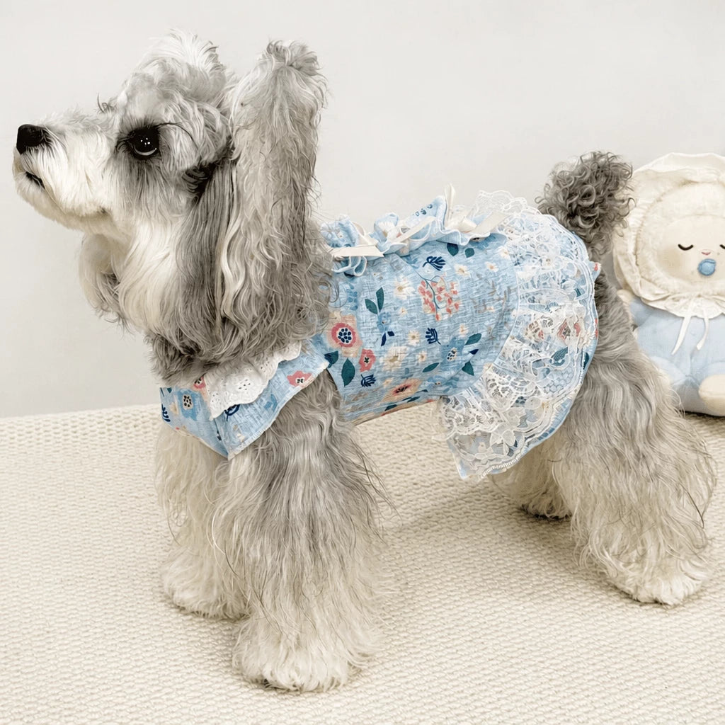 Lightweight Lace Pet Clothing with Bow and Ruffle Trim