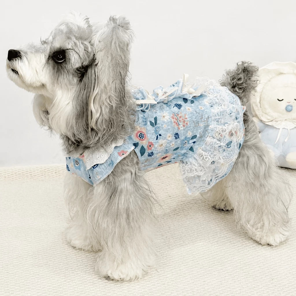 Lightweight Lace Pet Clothing with Bow and Ruffle Trim