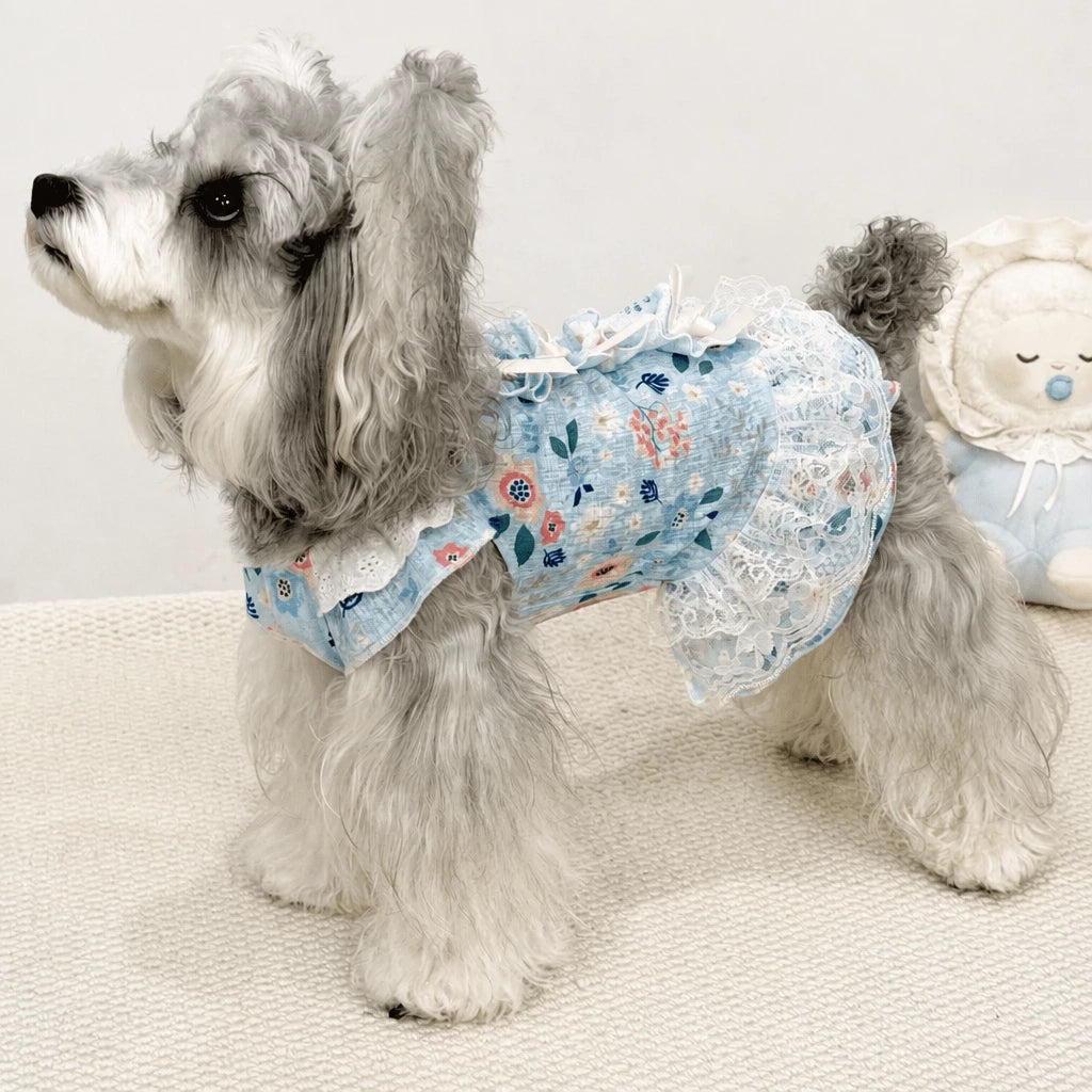 Lightweight Lace Pet Clothing with Bow and Ruffle Trim