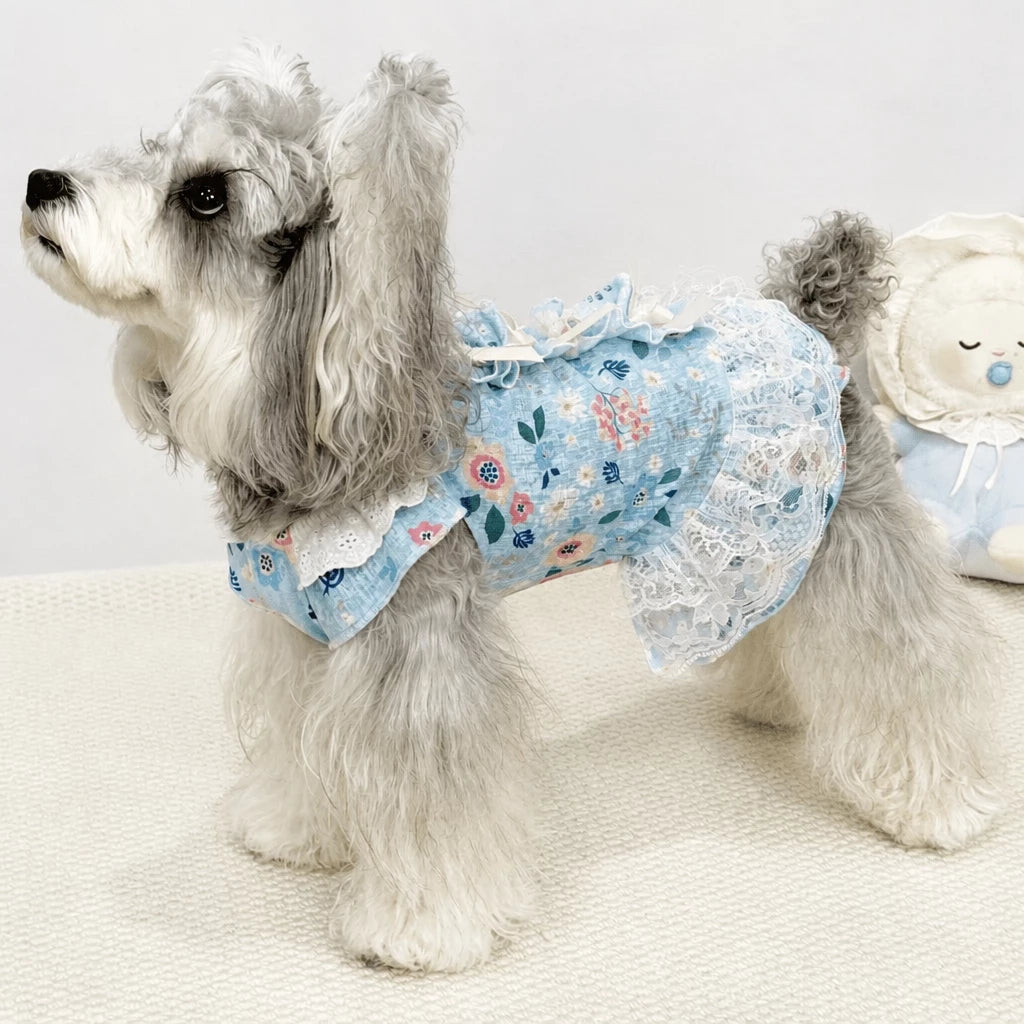 Lightweight Lace Pet Clothing with Bow and Ruffle Trim