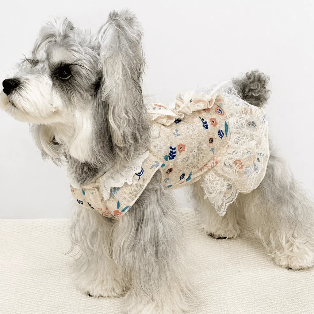 Lightweight Lace Pet Clothing with Bow and Ruffle Trim