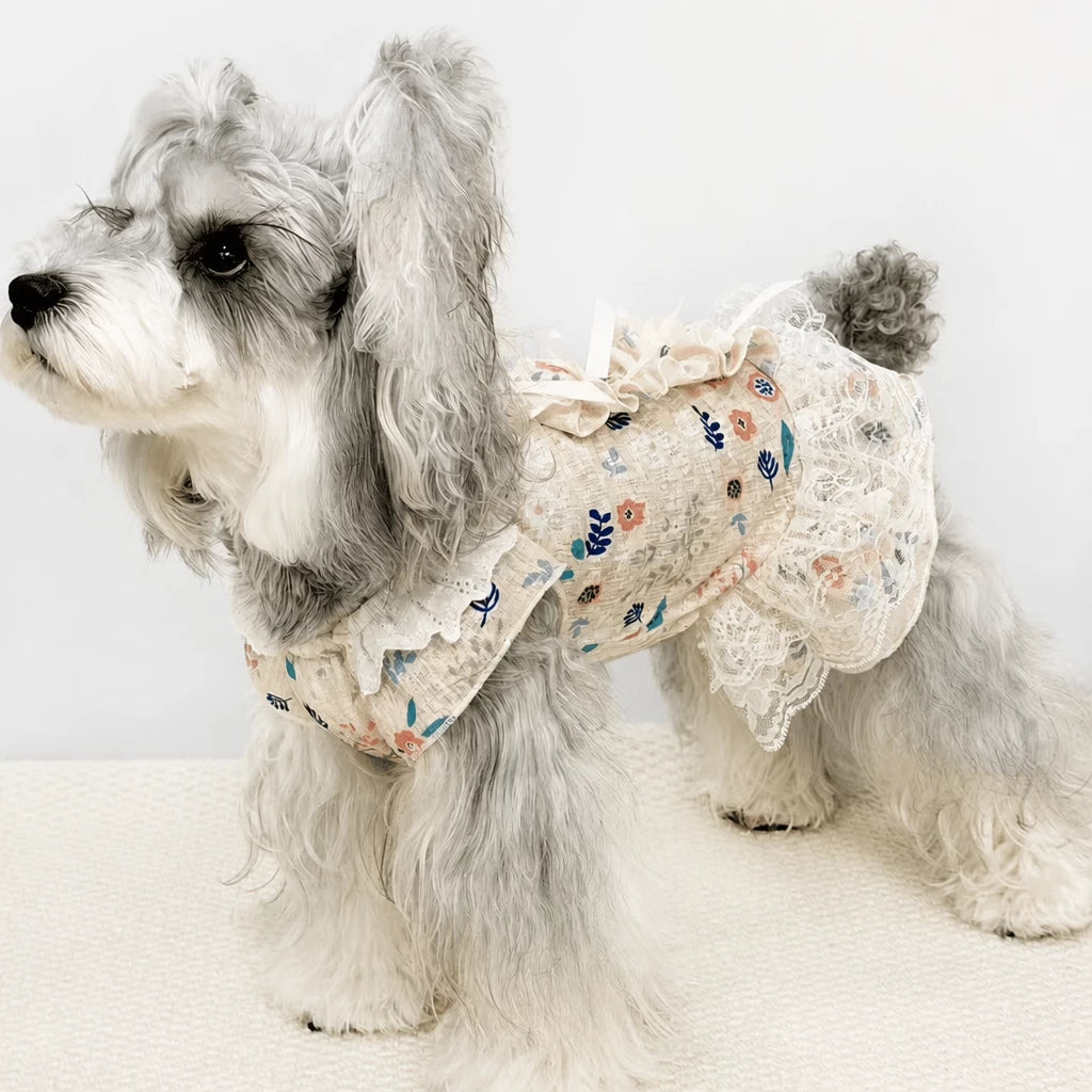 Lightweight Lace Pet Clothing with Bow and Ruffle Trim