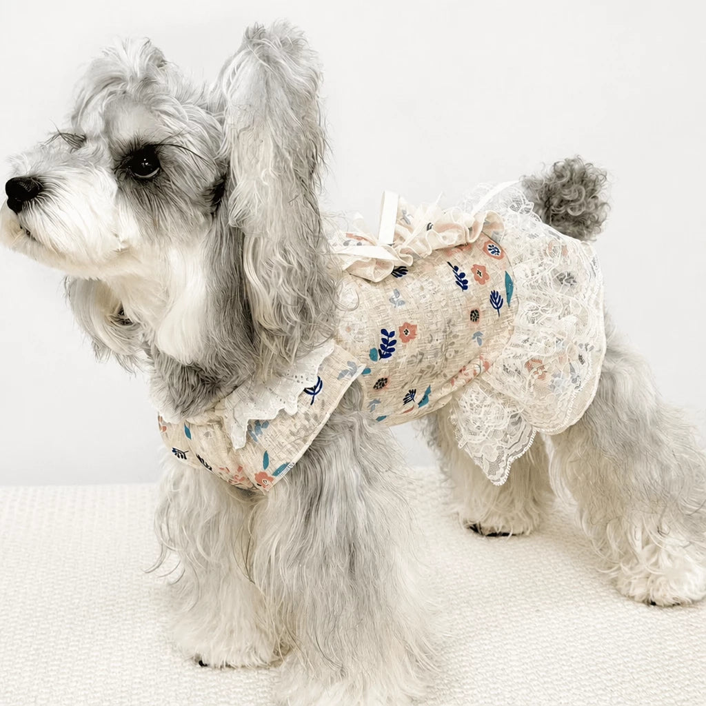 Lightweight Lace Pet Clothing with Bow and Ruffle Trim