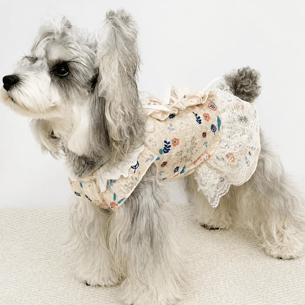 Lightweight Lace Pet Clothing with Bow and Ruffle Trim