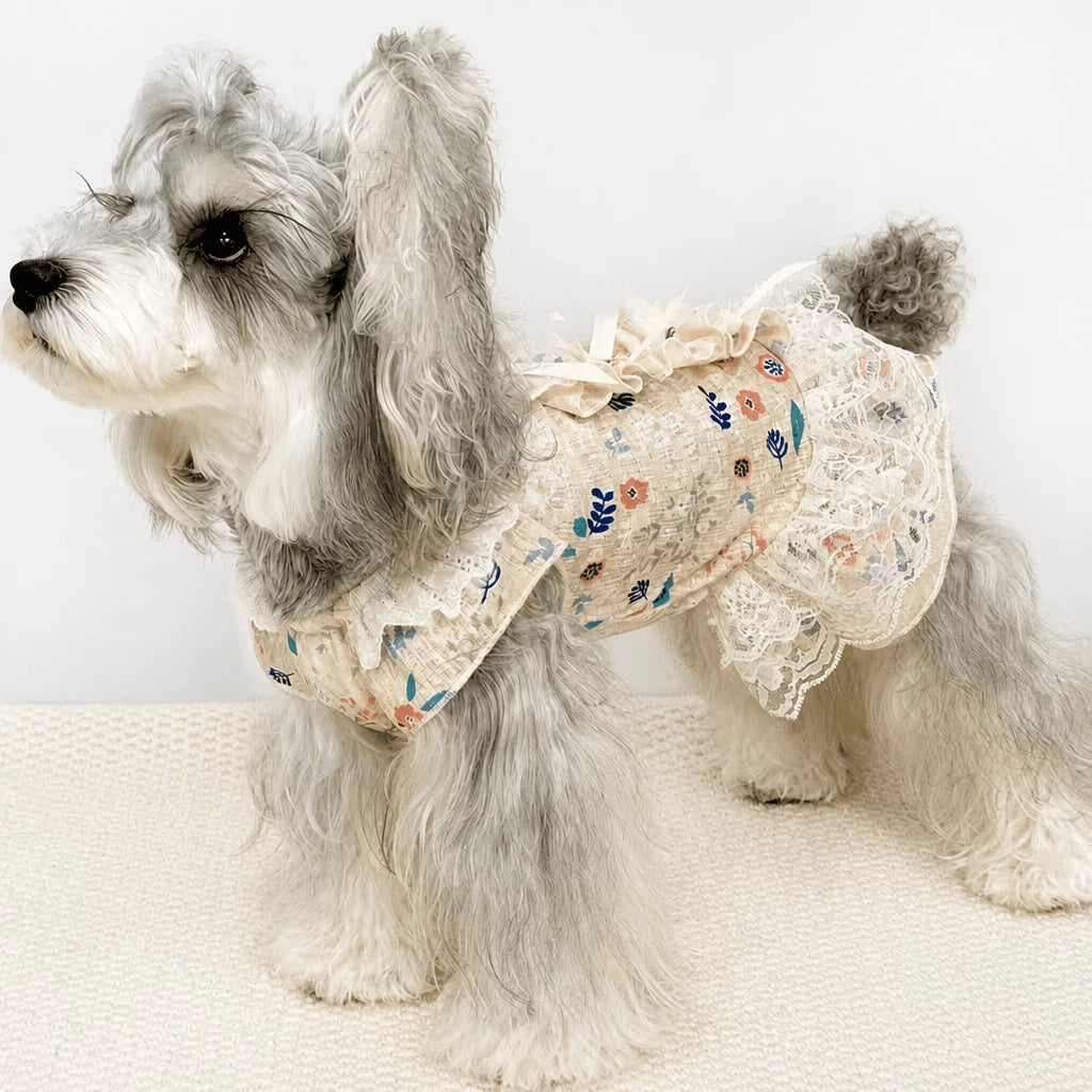Lightweight Lace Pet Clothing with Bow and Ruffle Trim