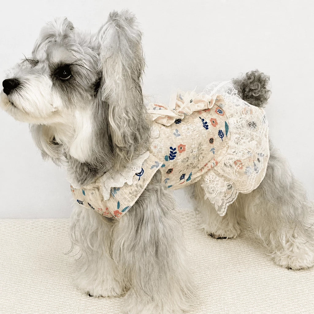 Lightweight Lace Pet Clothing with Bow and Ruffle Trim