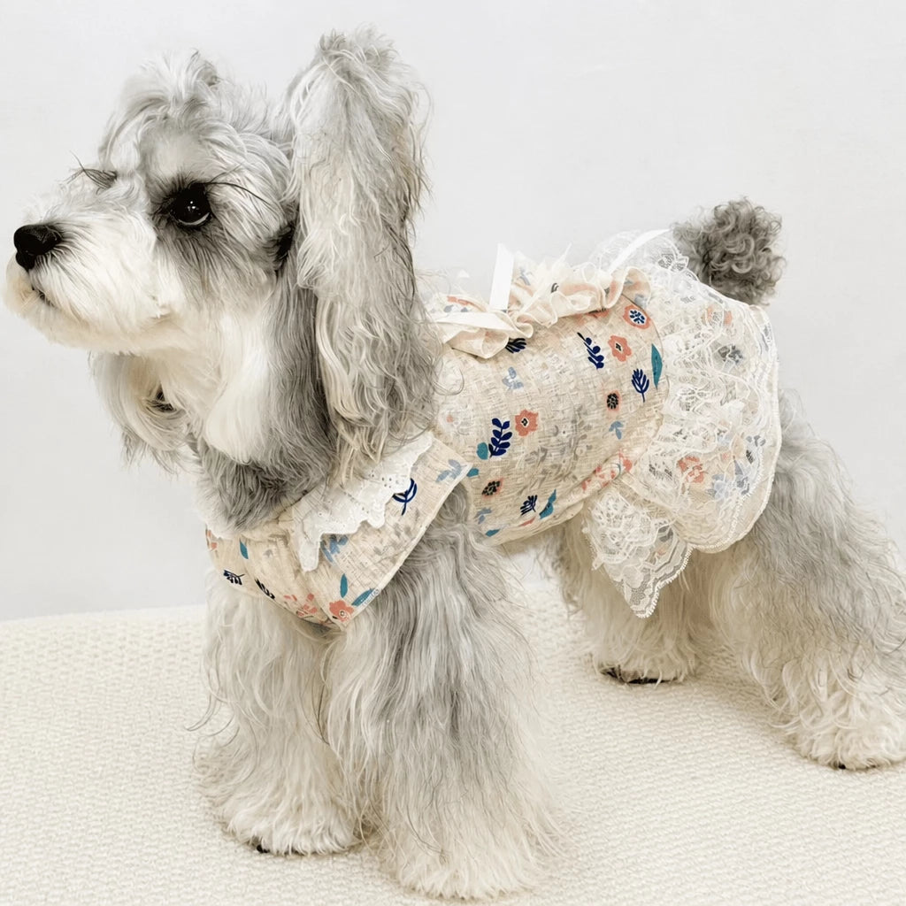 Lightweight Lace Pet Clothing with Bow and Ruffle Trim