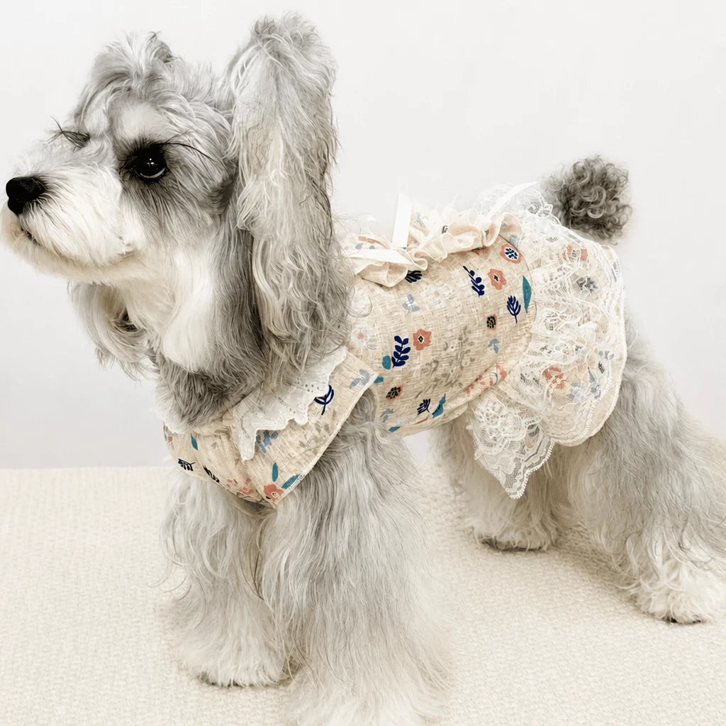 Lightweight Lace Pet Clothing with Bow and Ruffle Trim