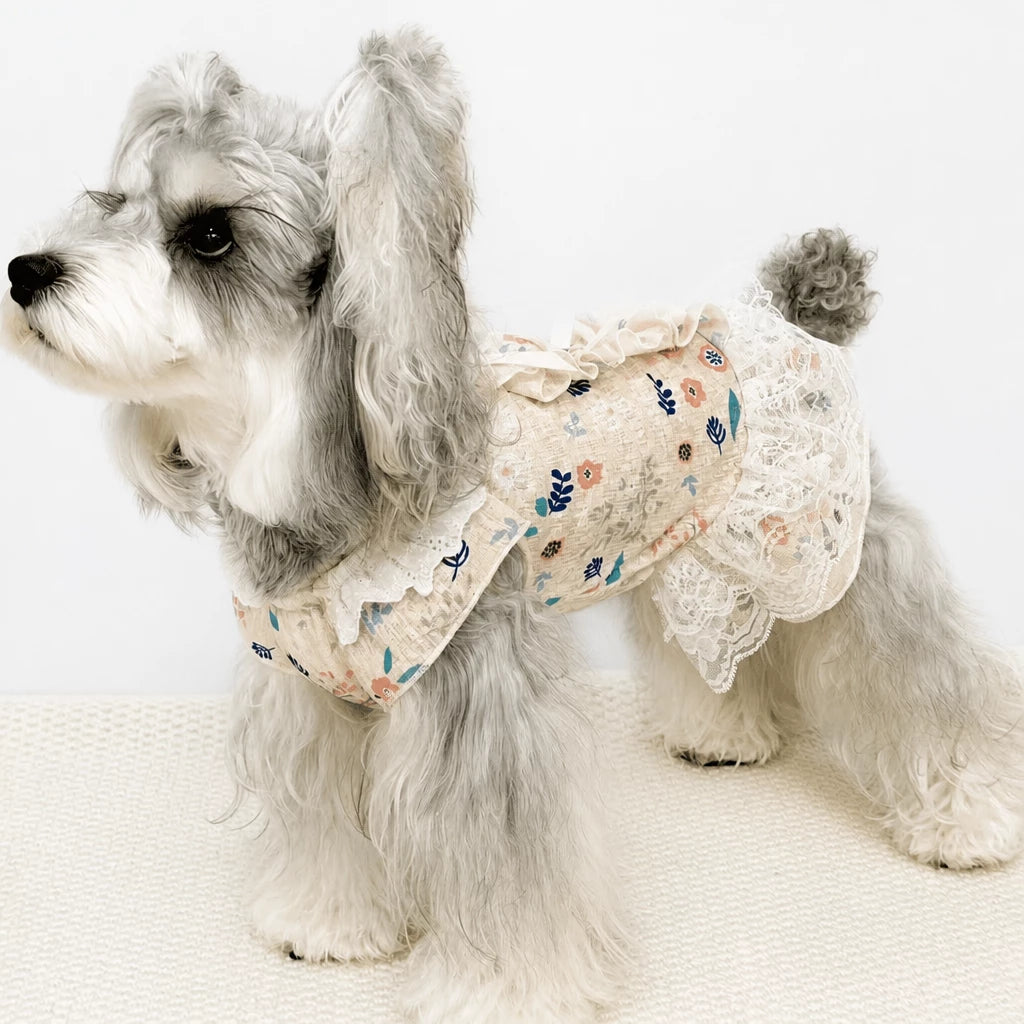 Lightweight Lace Pet Clothing with Bow and Ruffle Trim