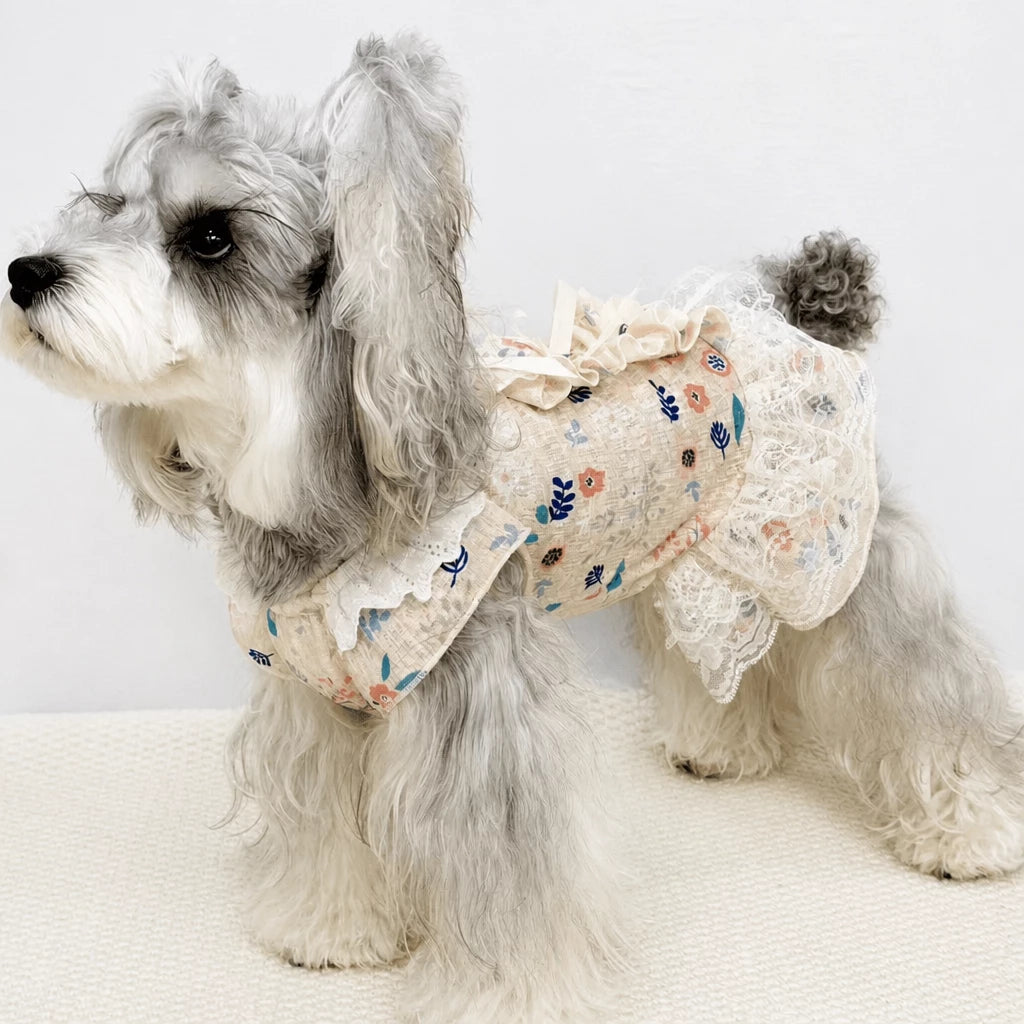 Lightweight Lace Pet Clothing with Bow and Ruffle Trim