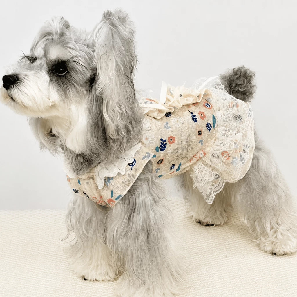 Lightweight Lace Pet Clothing with Bow and Ruffle Trim
